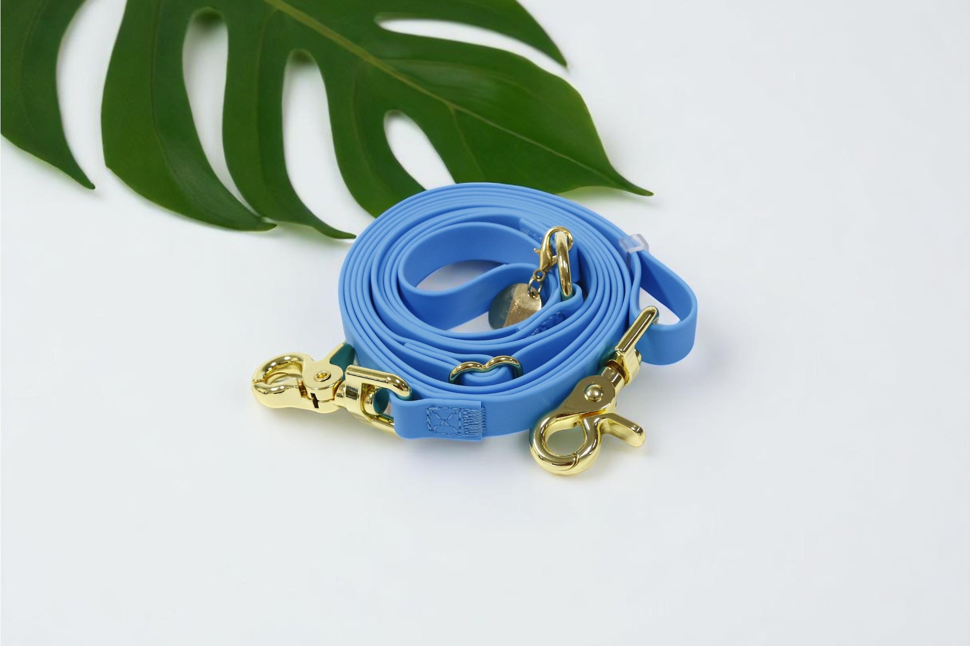 Wagged 4-in-1 Convertible Hands Free All Weatherproof Dog Leash | Sky Blue