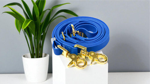Wagged 4-in-1 Convertible Hands Free All Weatherproof Dog Leash | Dark Blue