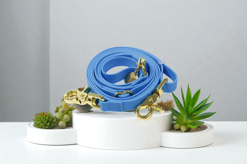 Wagged 4-in-1 Convertible Hands Free All Weatherproof Dog Leash | Sky Blue