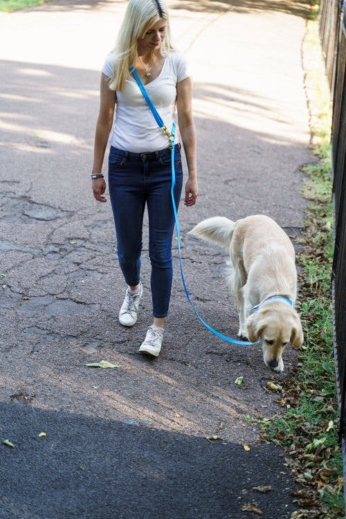 Wagged 4-in-1 Convertible Hands Free All Weatherproof Dog Leash | Sky Blue
