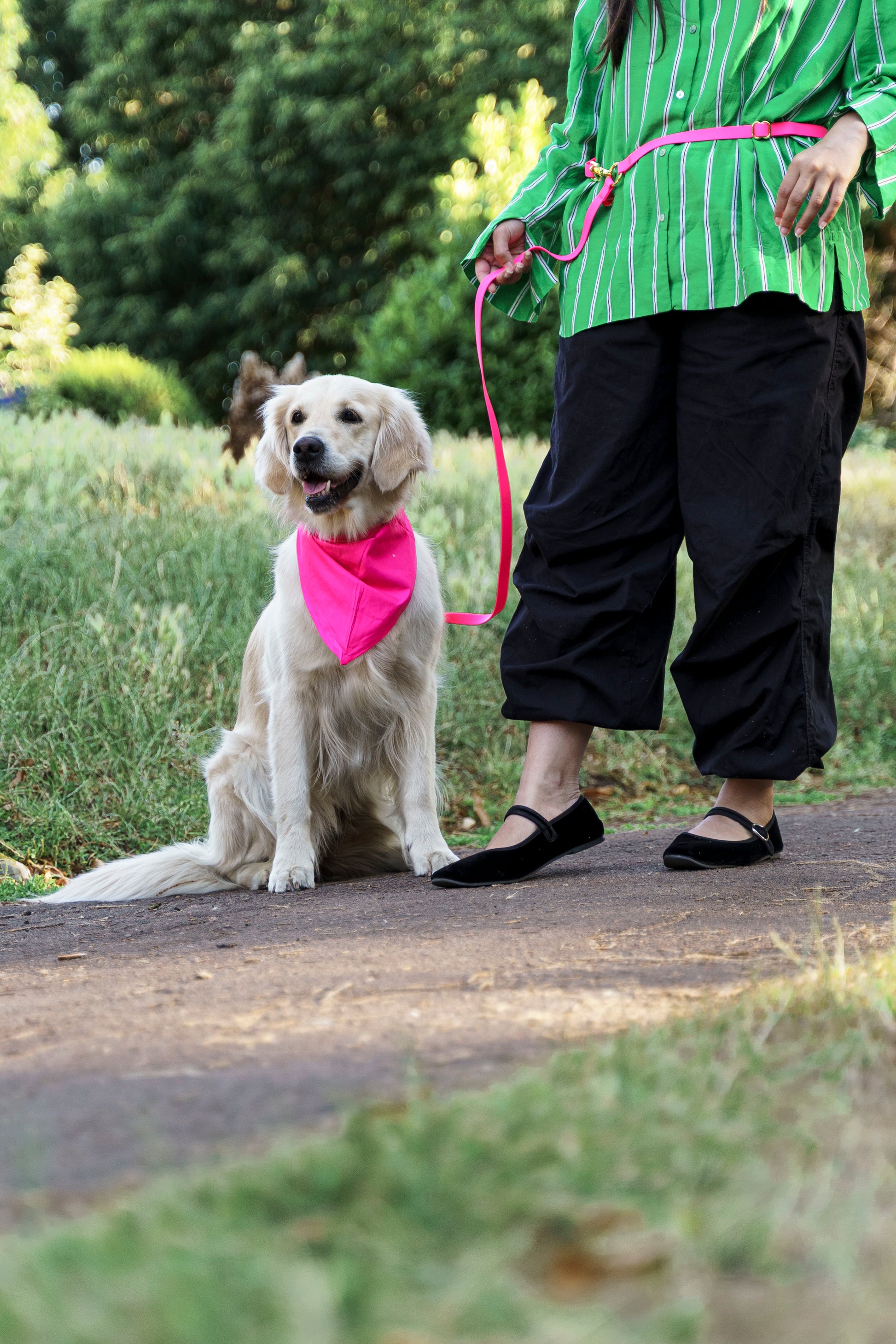 Wagged 4-in-1 Convertible Hands Free All Weatherproof Dog Leash | Pink