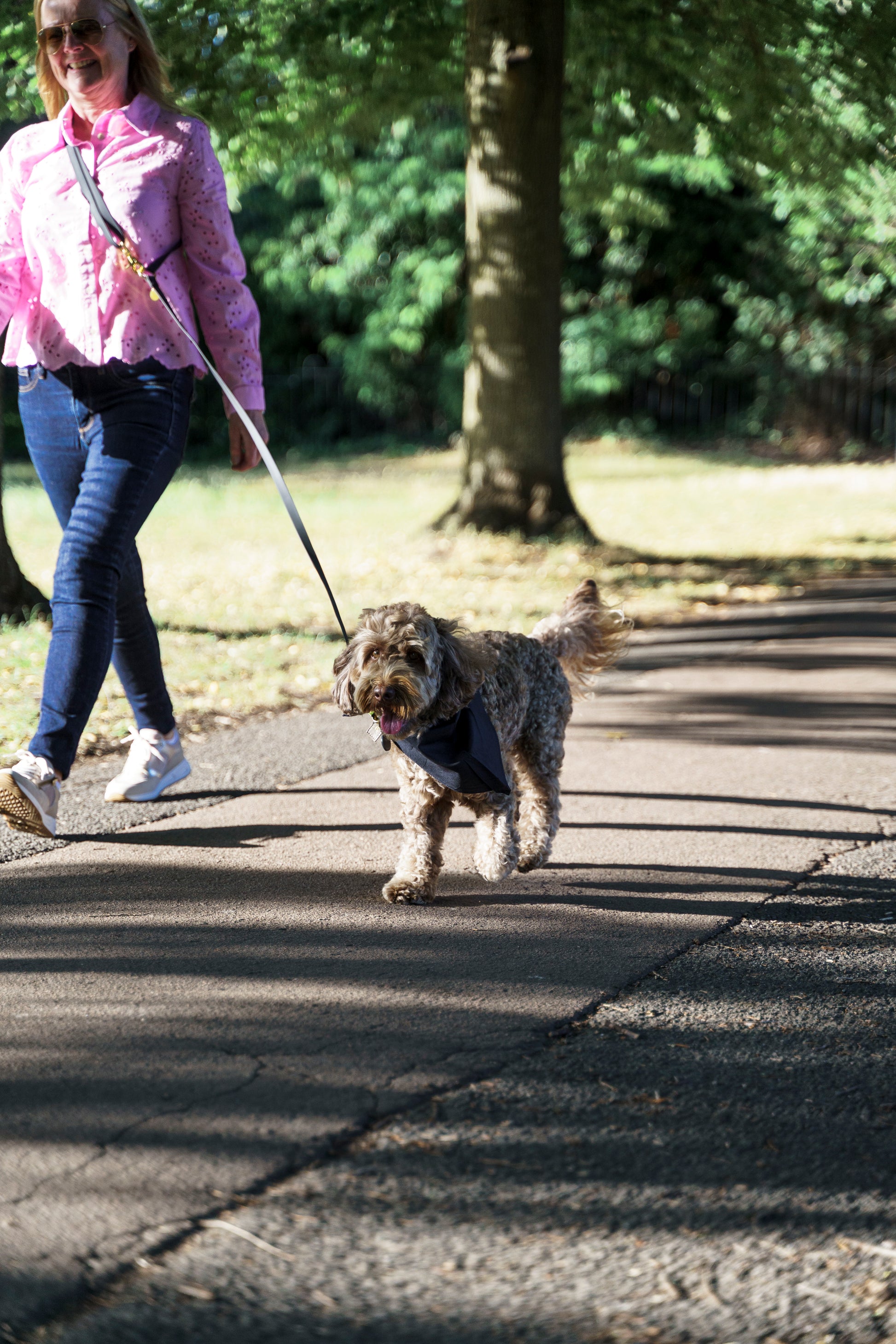 Wagged 4-in-1 Convertible Hands Free All Weatherproof Dog Leash | Black