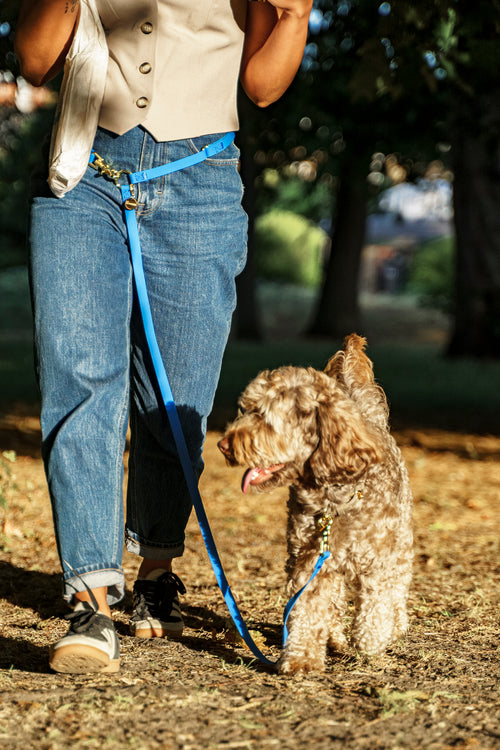 Wagged 4-in-1 Convertible Hands Free All Weatherproof Dog Leash | Dark Blue