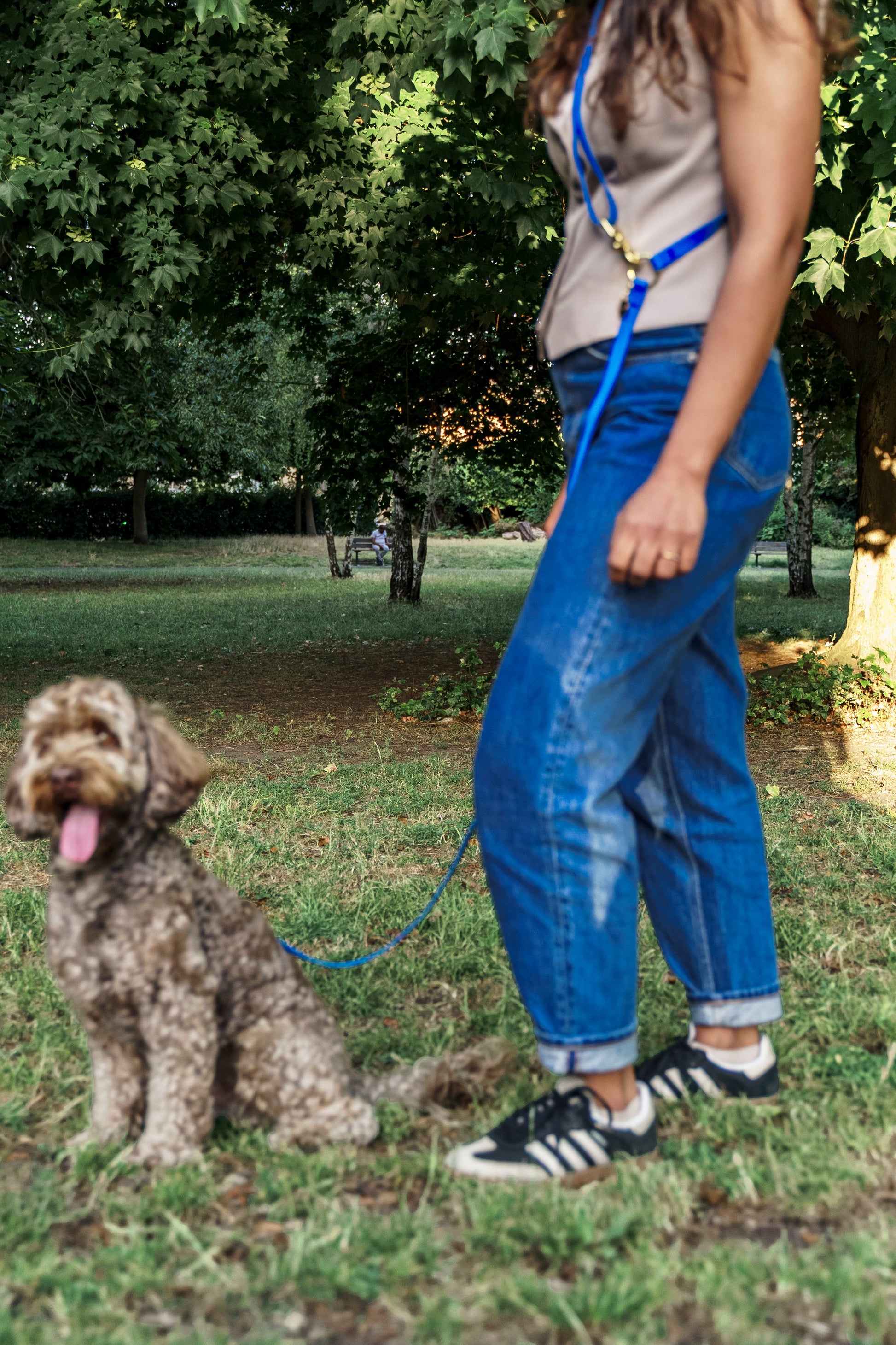 Wagged 4-in-1 Convertible Hands Free All Weatherproof Dog Leash | Dark Blue