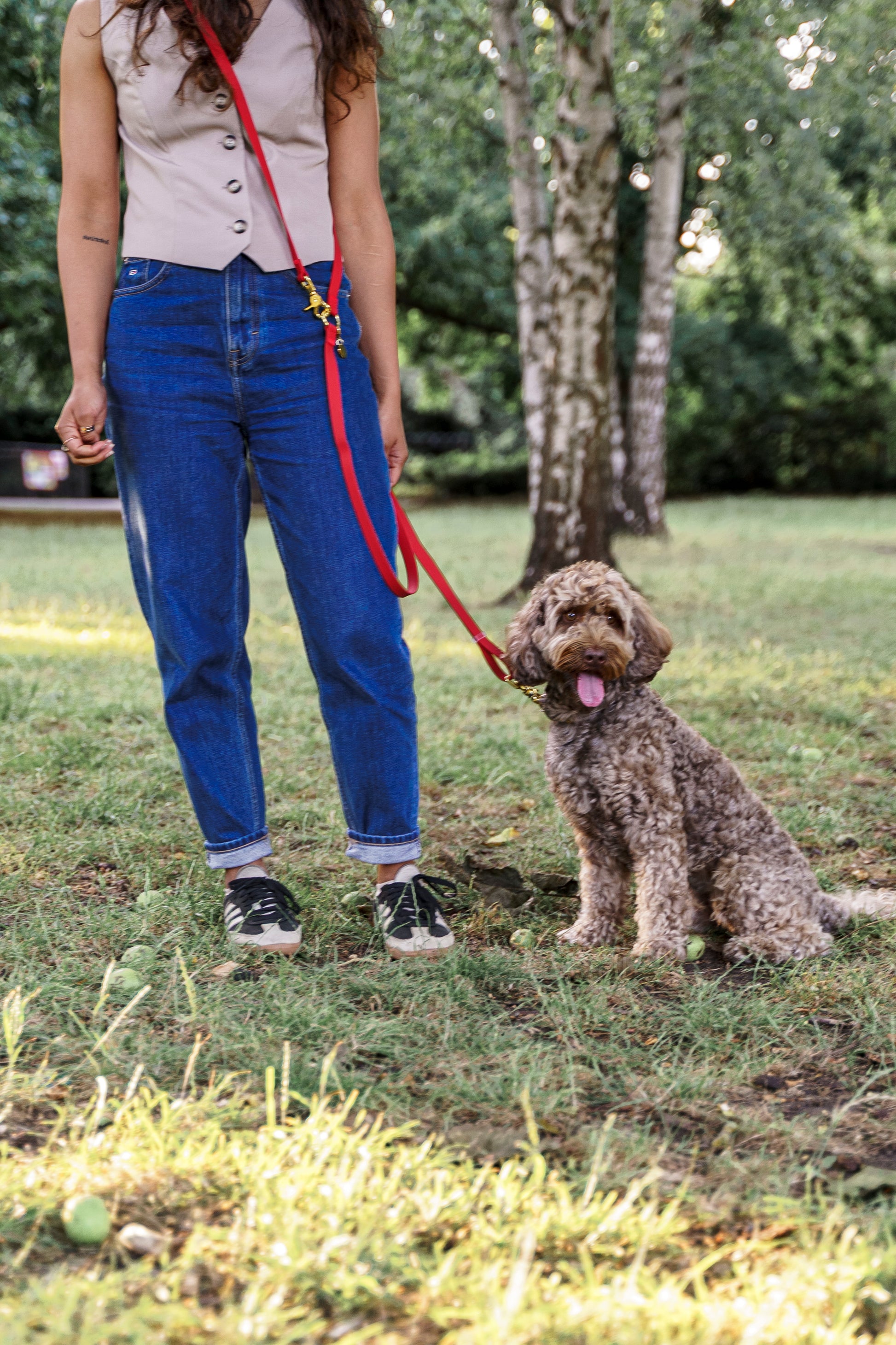 Wagged 4-in-1 Convertible Hands Free All Weatherproof Dog Leash | Red